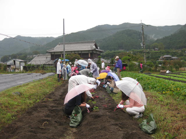 クラブ活動