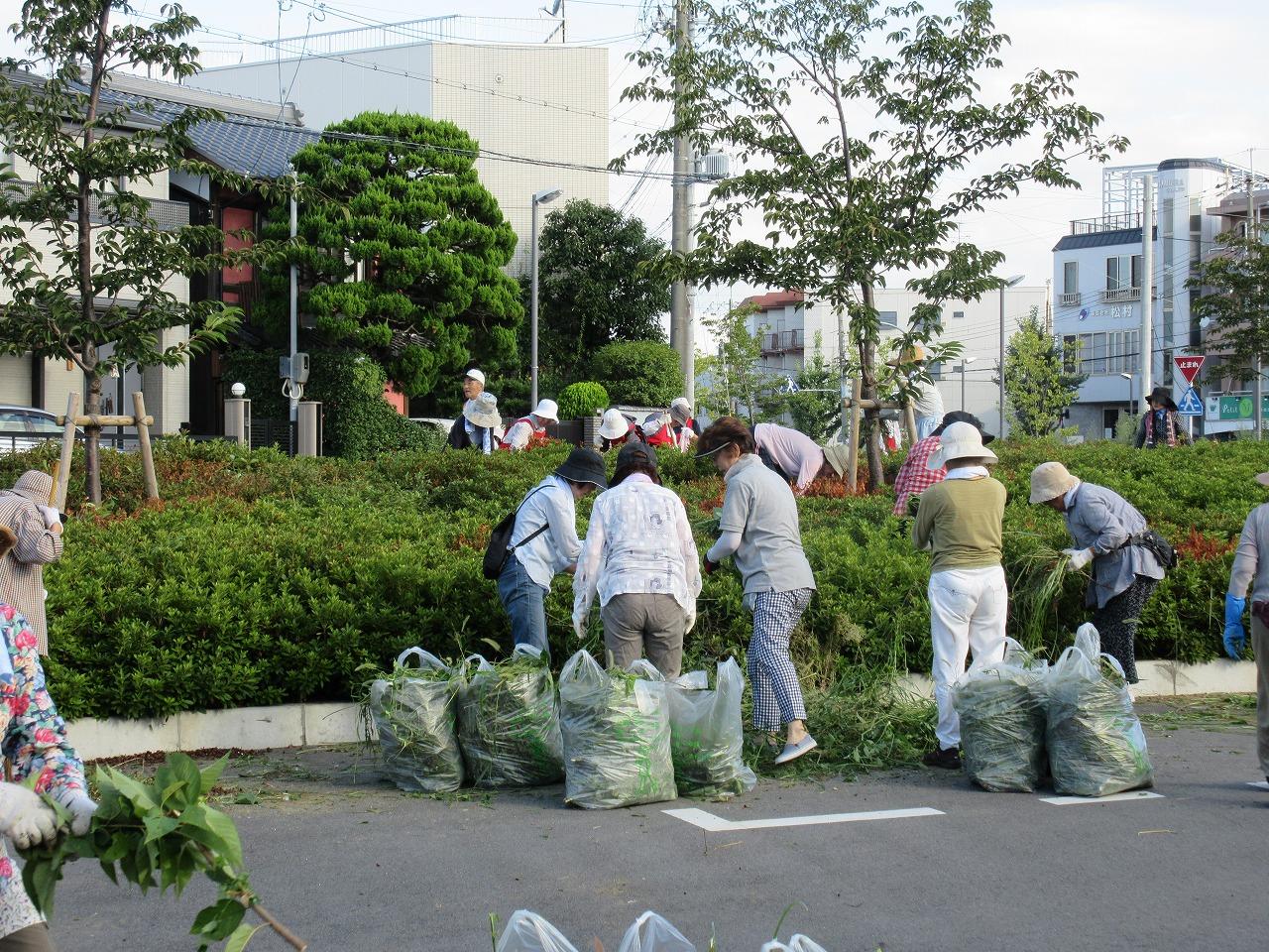 クラブ活動