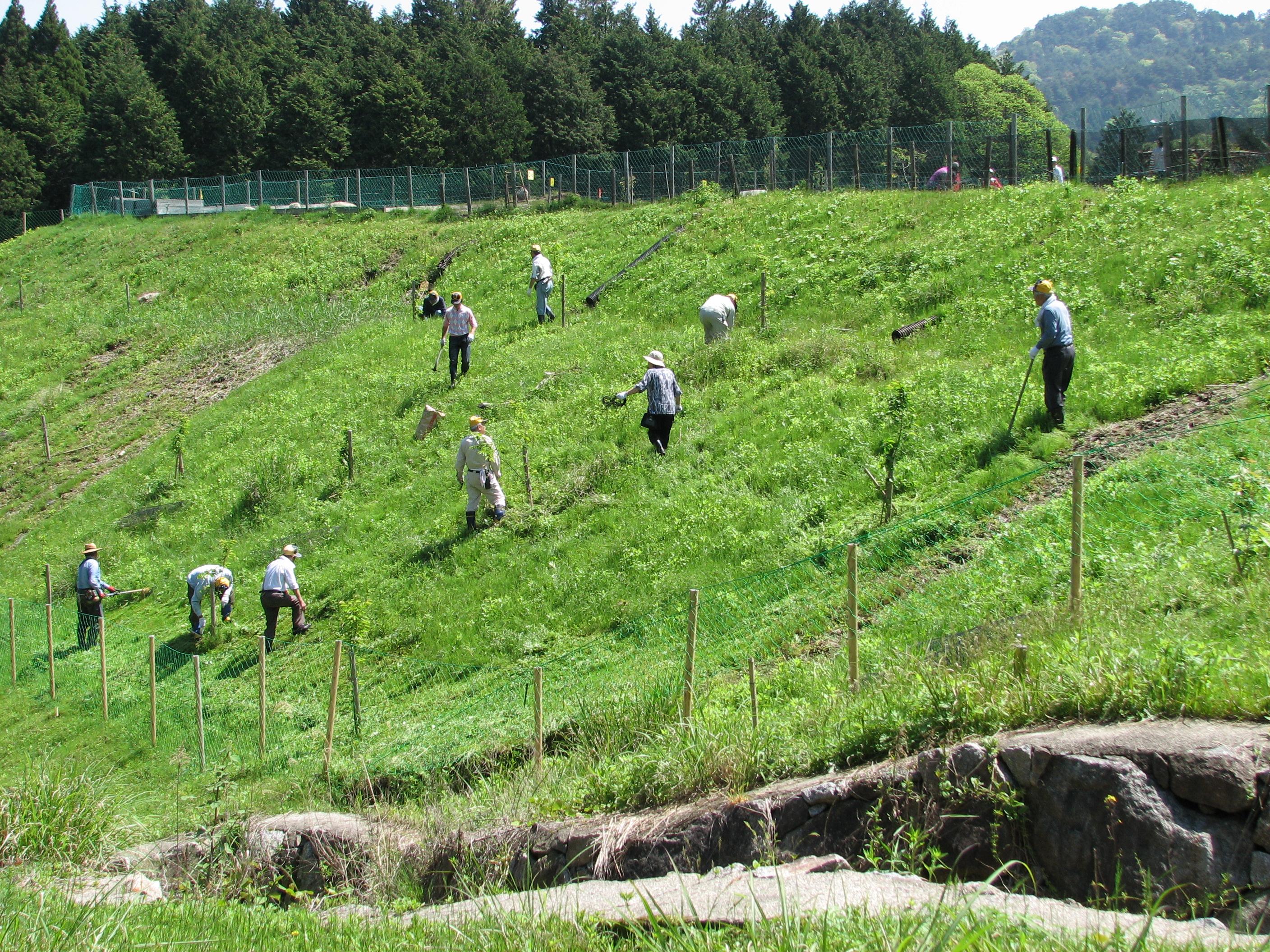 クラブ活動