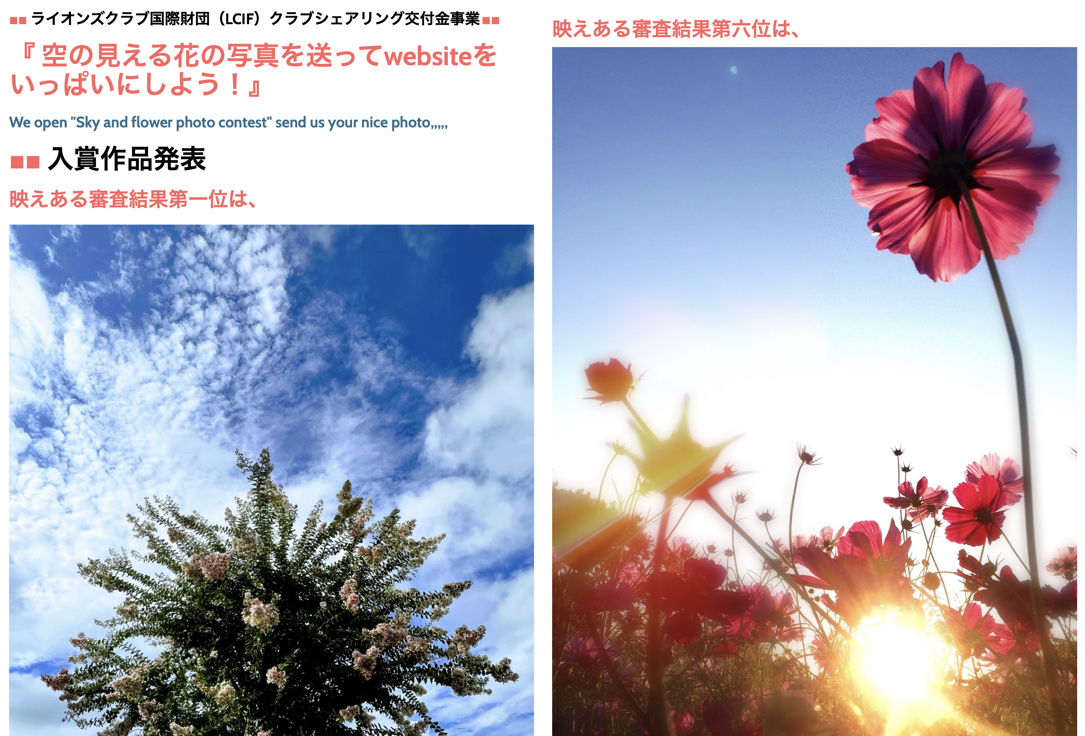 クラブ活動