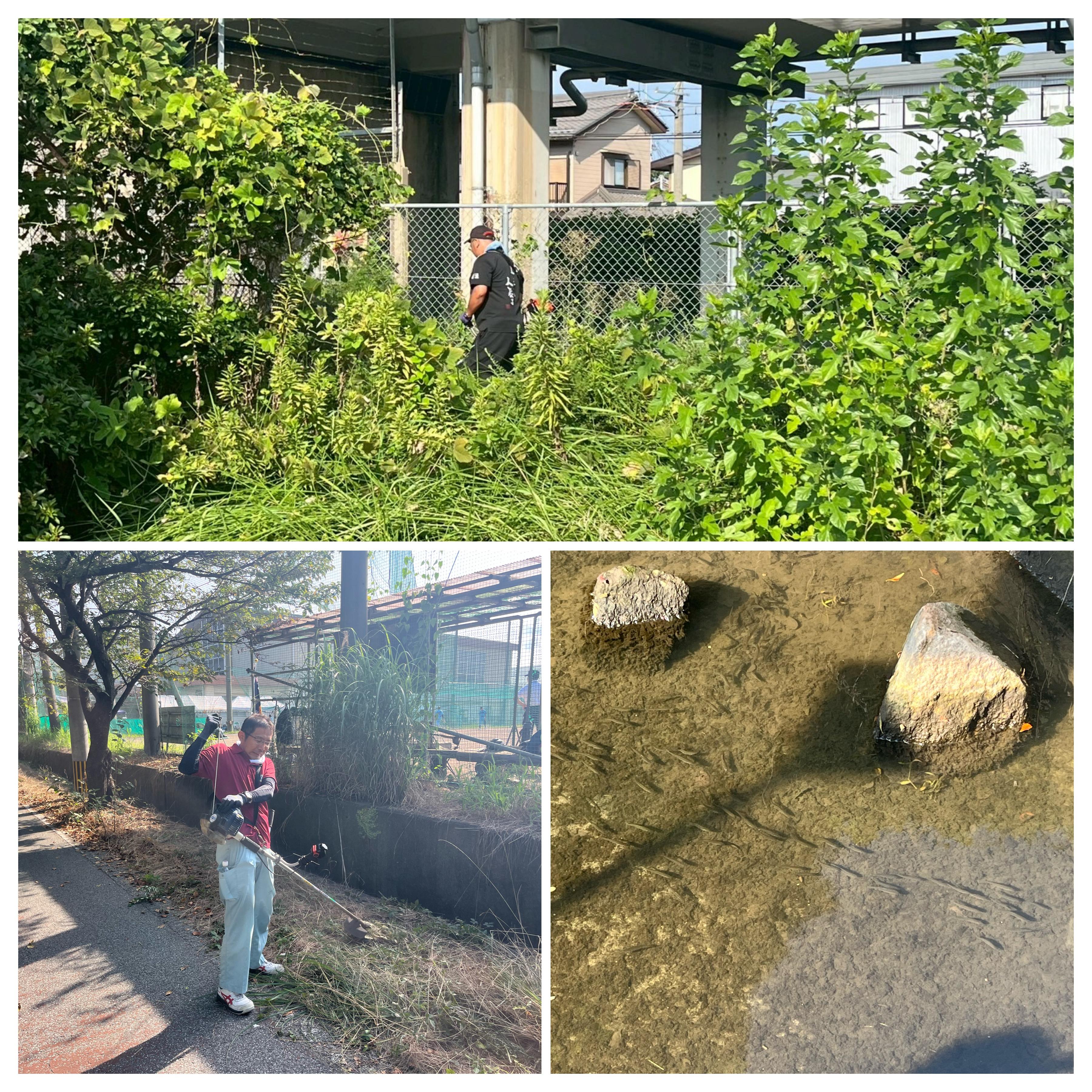 ライオンズクラブ335-C地区 ブログ