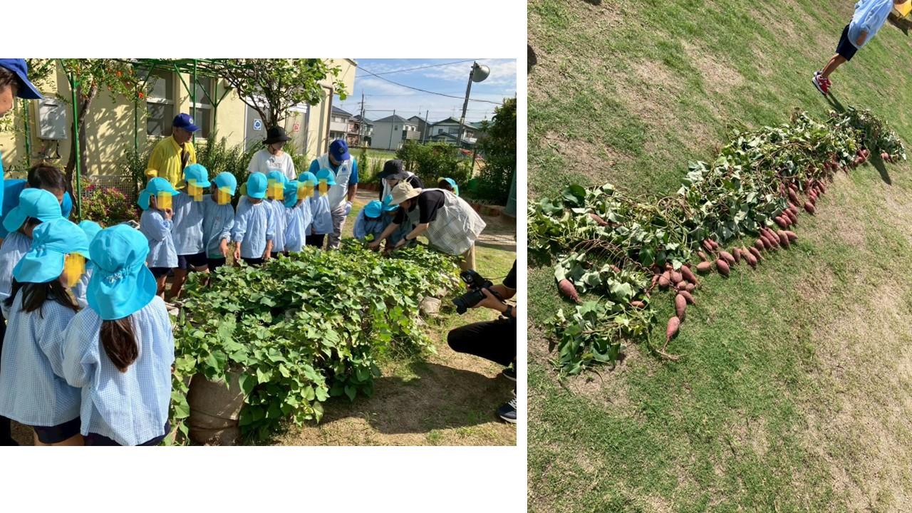 ライオンズクラブ335-C地区 クラブ活動ブログ