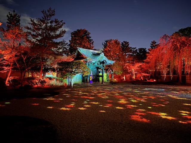 ライオンズクラブ335-C地区 委員会活動