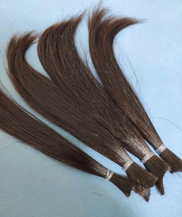 ライオンズクラブ335-C地区 クラブ活動ブログ