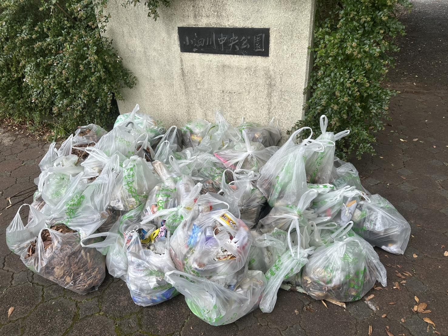 ライオンズクラブ335-C地区 クラブ活動ブログ