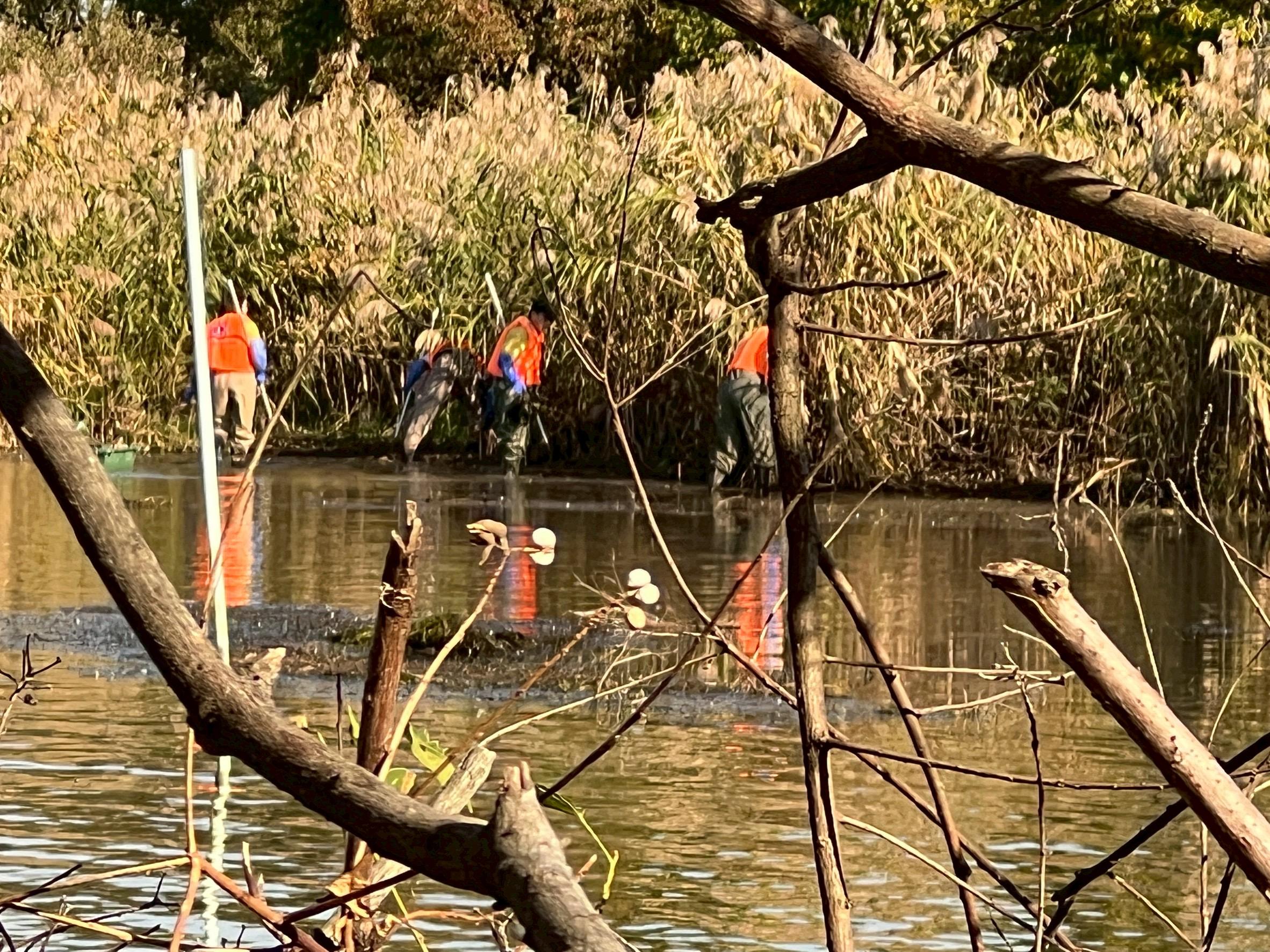 ライオンズクラブ335-C地区 クラブ活動ブログ