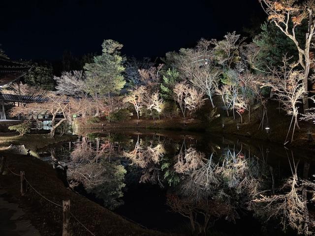 ライオンズクラブ335-C地区 委員会活動